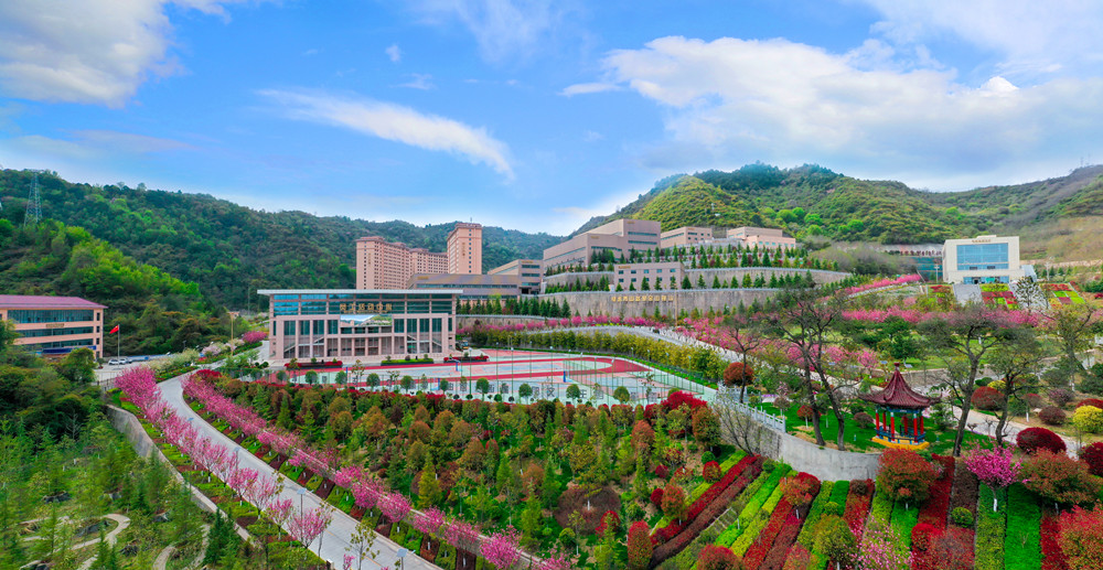 202304221682153799529199.jpg 3.jpg