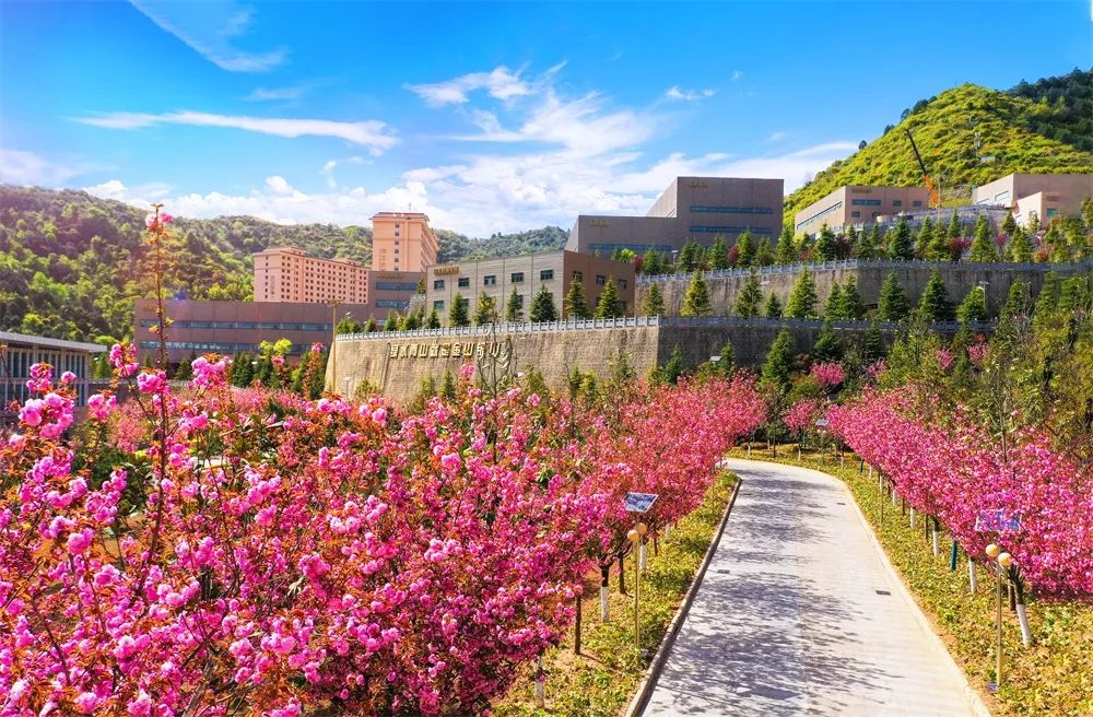 202306021685692415988807.jpg 640 (4).jpg