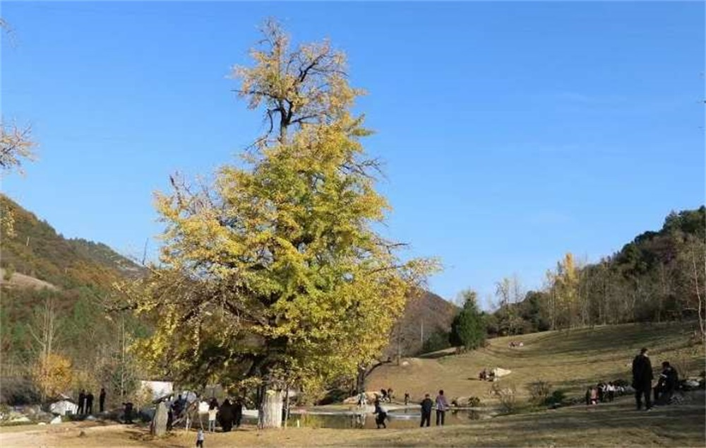 202311111699685015617021.png 0f5cd2674425362544960fc0a85322db.png