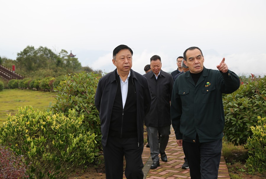 19-2021年10月，原國土資源部副部長汪民蒞臨公司調(diào)研。.jpg