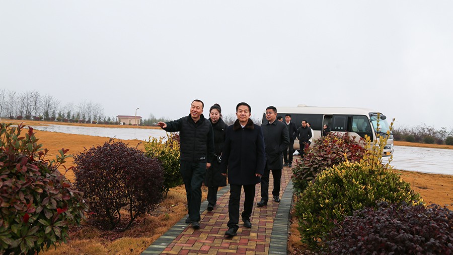 45-2020年12月，省高級人民法院黨組成員、副院長任建國蒞臨金徽股份調(diào)研知識產(chǎn)權(quán)司法保護(hù)工作。.jpg