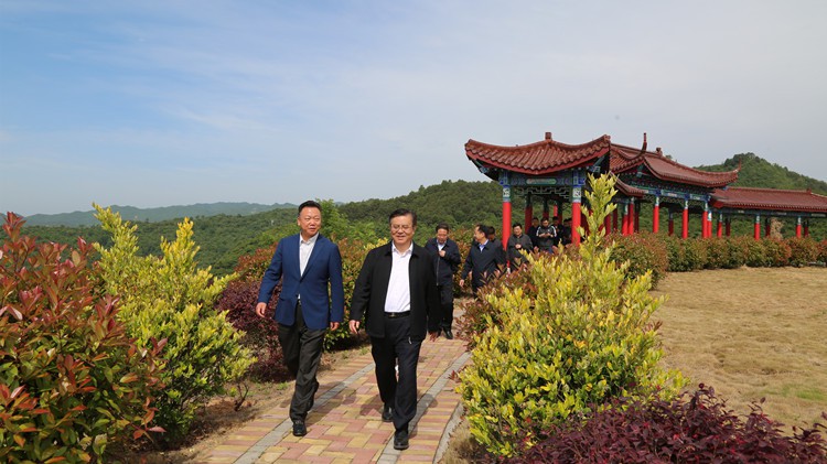 省人民檢察院黨組書記、檢察長朱玉調(diào)研金徽股份